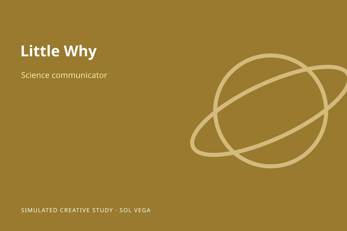 Illustrated simulated project study for Little Why